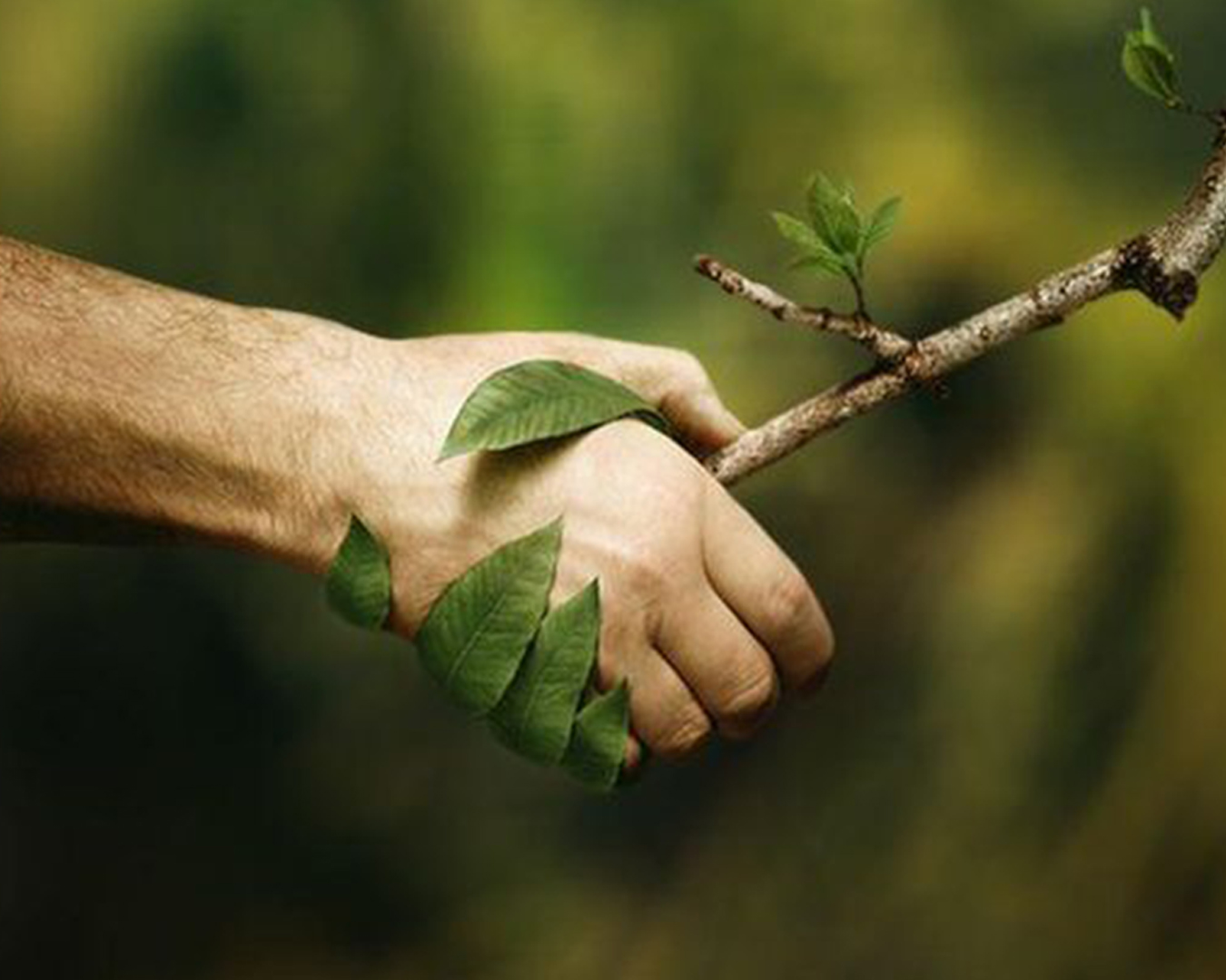 solar-installation-service-3